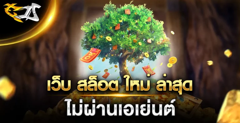 เว็บสล็อตใหม่ล่าสุด